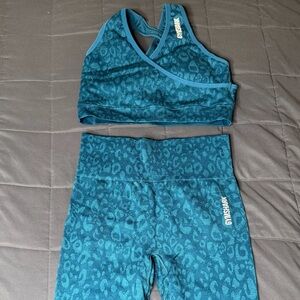 Gymshark Adapt Animal Seamless Leggings & Sports Bra